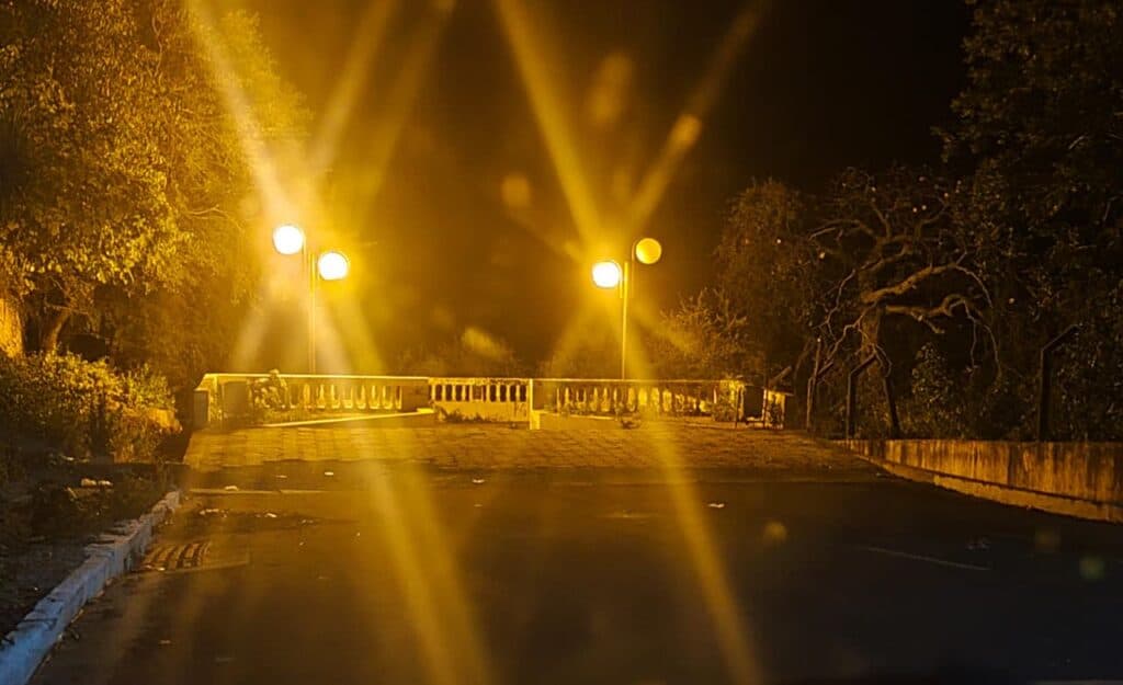 Corumbá Intensifica Monitoramento e Ações Frente à Presença de Onças em Área Urbana