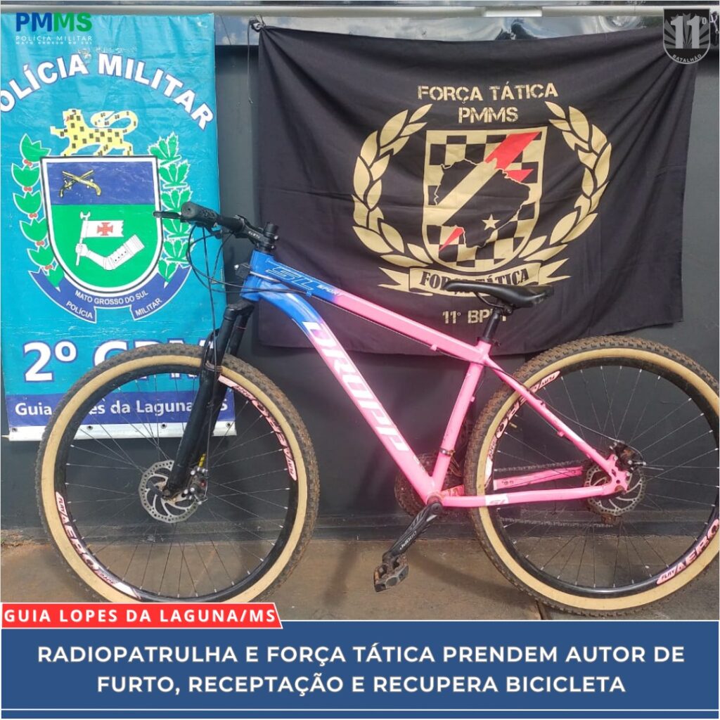 bicicleta furtada