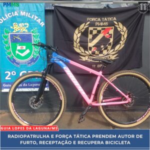 bicicleta furtada