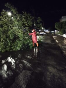 Queda de Árvore em Corumbá