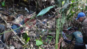 VÍDEO: Filmagem do viria a ser o “Jorginho” Mostra que equipe foi atacada pela onça-pintada também