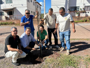Plantio de mudas nos Conjuntos Flamboyants é resultado de parceria entre Estado e Município