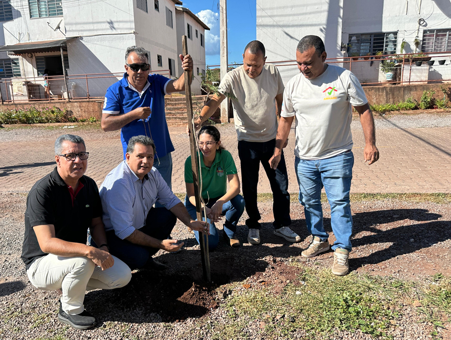Plantio de mudas nos Conjuntos Flamboyants é resultado de parceria entre Estado e Município