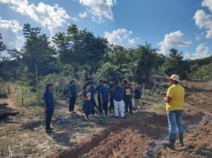 projeto refloresta terra Terena, valoriza cultura indígena e garante alimentos – Agência de Noticias do Governo de Mato Grosso do Sul