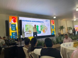Políticas públicas do Governo de MS para avicultura renovam setor e melhoram renda para os produtores