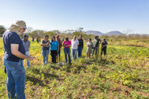 Prefeitura participa de Dia de Campo sobre variedades de feijão no Assentamento Taquaral
