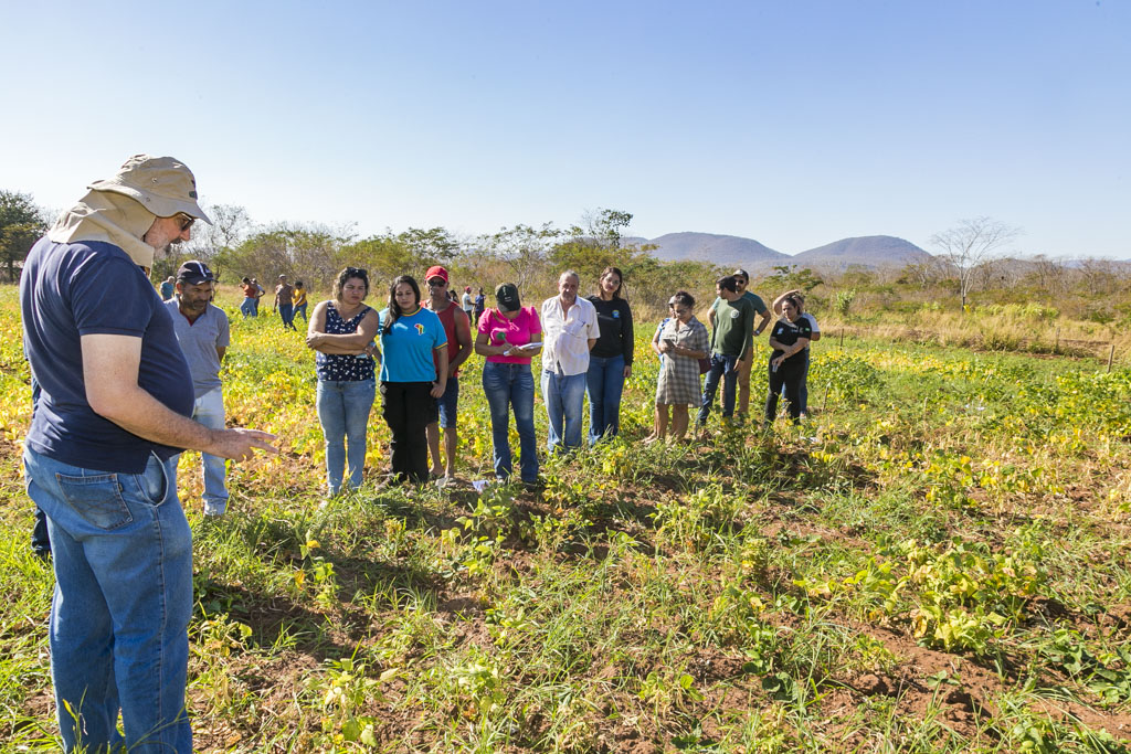 Prefeitura participa de Dia de Campo sobre variedades de feijão no Assentamento Taquaral