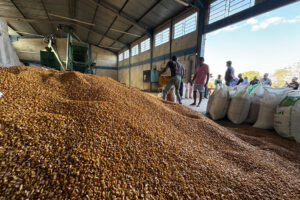 Prefeitura de Corumbá confirma investimento de R$ 600 mil na agricultura familiar