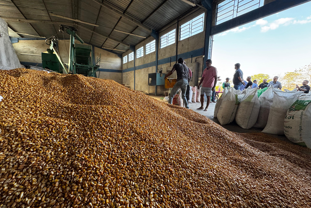 Prefeitura de Corumbá confirma investimento de R$ 600 mil na agricultura familiar