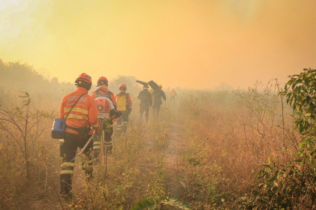 Corumbá decreta situação de emergência em razão de Incêndios Florestais no Pantanal