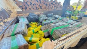 Polícia Civil incinera duas toneladas de entorpecentes em Iguatemi – Polícia Civil MS