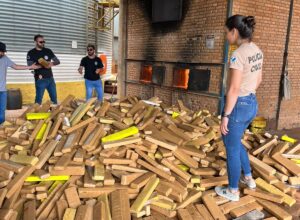 Polícia Civil incinera drogas apreendidas em Chapadão do Sul e região – Polícia Civil MS