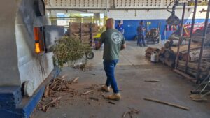 Corumbá MS - Jornal de Notícias Online