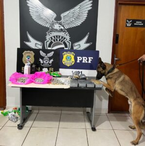 Polícia Civil apreende quase 3 kg de cocaína em ônibus vindo da fronteira durante a Operação Faro – Polícia Civil MS