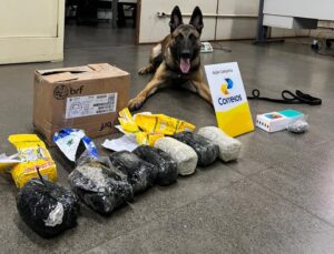 Polícia Civil intercepta encomendas com mais de 2,3 kg de drogas durante operação em parceria com os Correios – Polícia Civil MS
