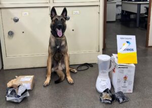 Polícia Civil apreende mais de 900 gramas de drogas prestes a serem enviadas pelos Correios – Polícia Civil MS