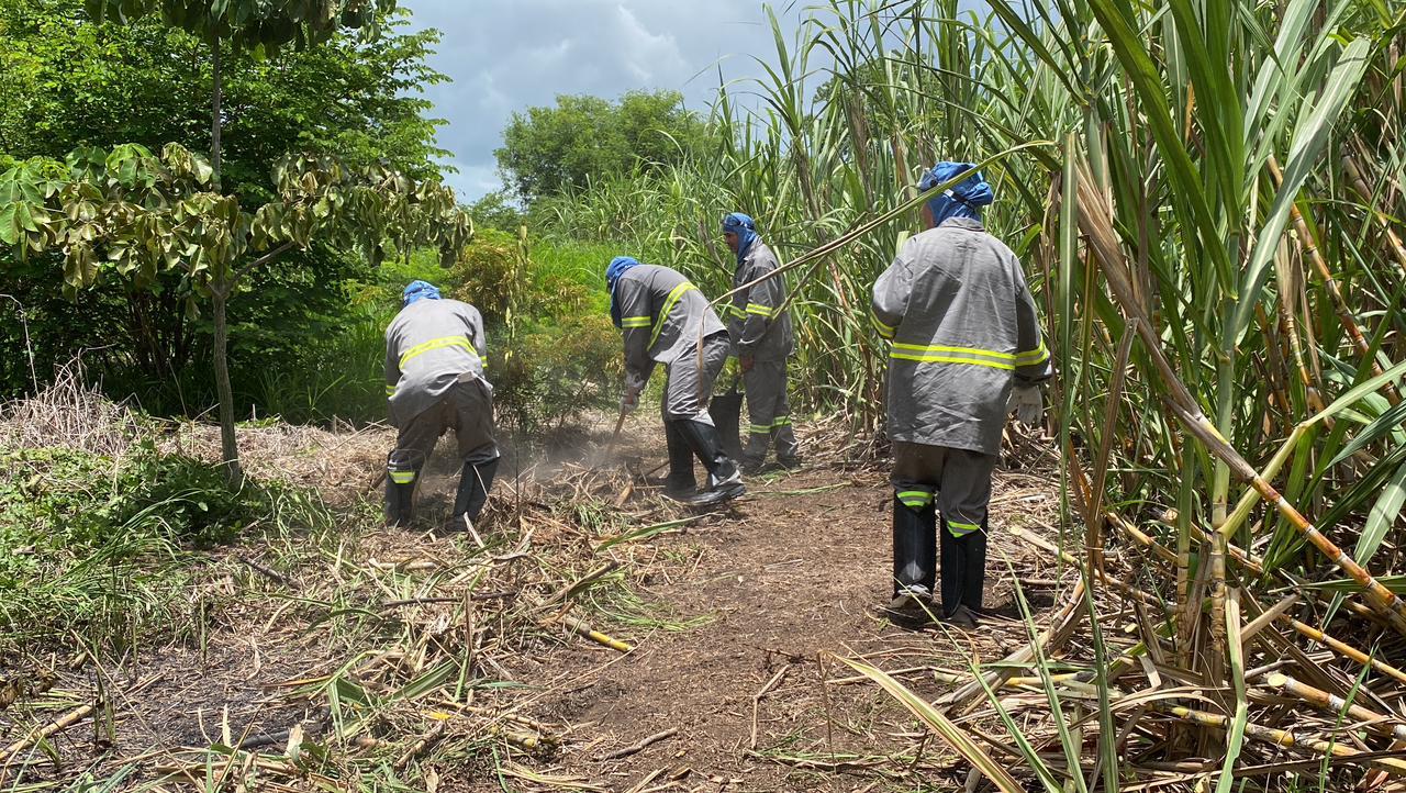 Corumbá Cria Primeira Brigada Comunitária para Combate a Incêndios no Pantanal 7 Corumbá Cria Primeira Brigada Comunitária para Combate a Incêndios no Pantanal