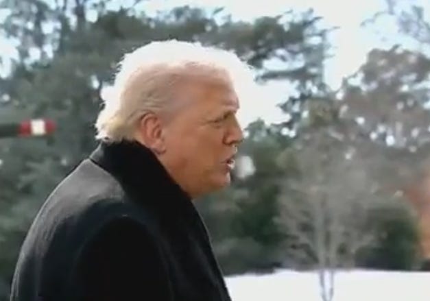 Republicanos se distanciam de Trump após morte de Alex Pretti por agentes de fronteira 1 Republicanos se distanciam de Trump após morte de Alex Pretti por agentes de fronteira