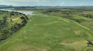 Corumbá Busca Intervenção para Recuperar Canal da Baía do Castelo