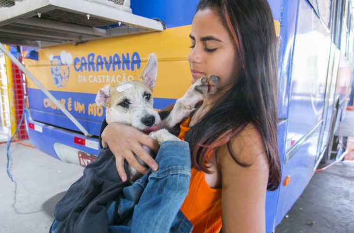 Campo Grande Lança Programa de Castração para Controle Populacional de Animais