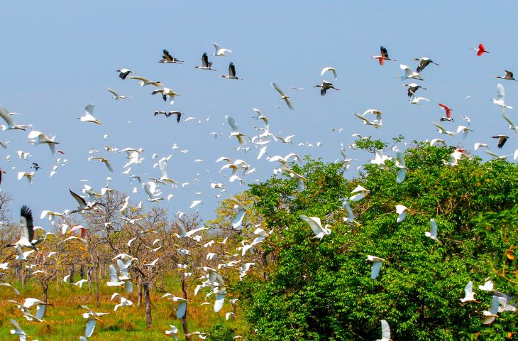Mato Grosso do Sul se prepara para a COP15: um evento que promete impulsionar o turismo e a economia