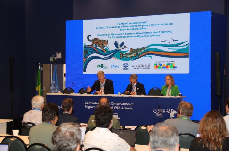 Conferência COP15 Destaca a Importância do Pantanal em Debate sobre Políticas Ambientais