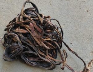 PolÃcias de Coxim Desarticulam Furto de Fios em Ação Rápida